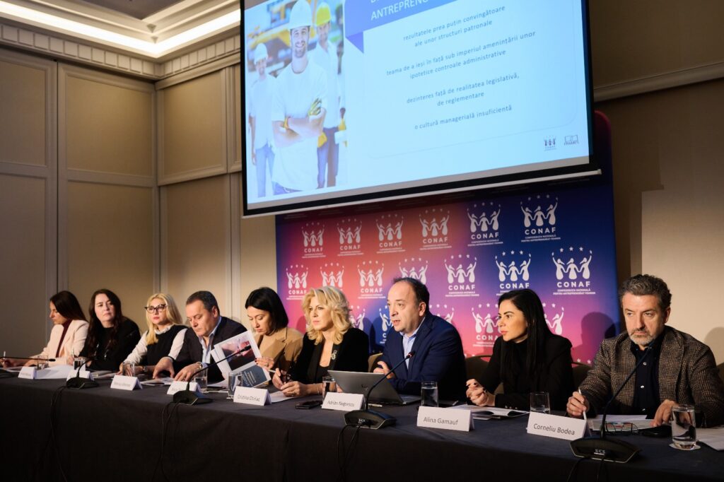 Analiza impactului asupra sectorului privat